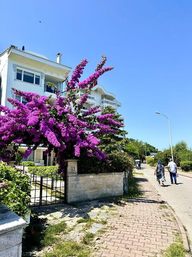 Istanbul Hidden Gem: Kınalıada🇹🇷