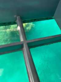 Spotting coral 