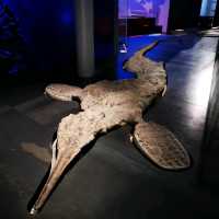 Exploring History and Heritage: A Journey Through Newcastle's Great North Museum