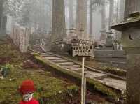 Surrounded by cedar trees over 800 years old