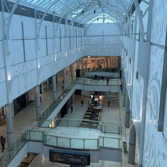 🚆✨ Day Trip from Manchester to Leicester: A Cultural & Historic Stroll with a Splash ⛲