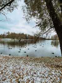 The Palace Park in Gatchina