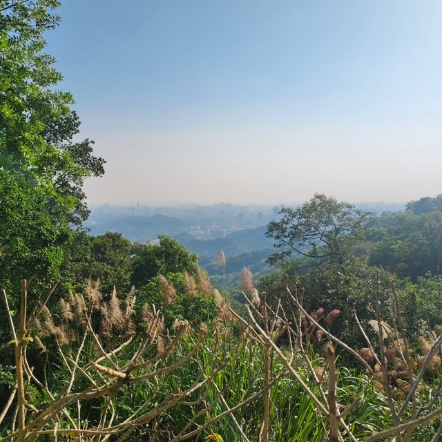 Baiyun Mountain: Where Clouds Kiss the Earth ☁️🏞️