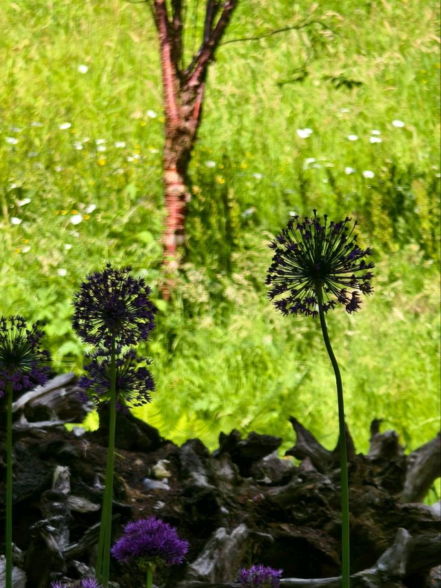 Arundel Castle Day Trip