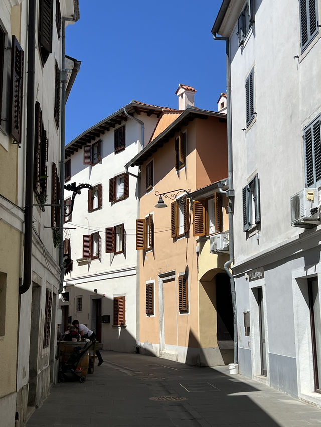 🇸🇮 斯洛維尼亞伊佐拉（Izola）🐚
