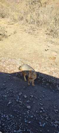 Salta surrounding and Los Cardones National Park