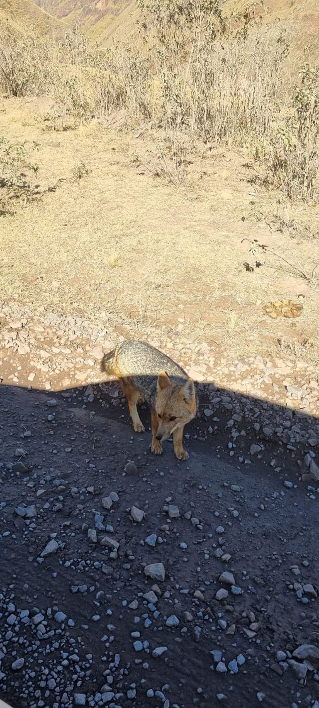Salta surrounding and Los Cardones National Park