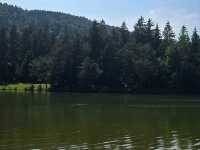 Rakitna lake
