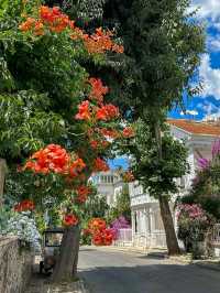 Heybeliada & Büyükada: Tranquil Escapes of the Princes’ Islands