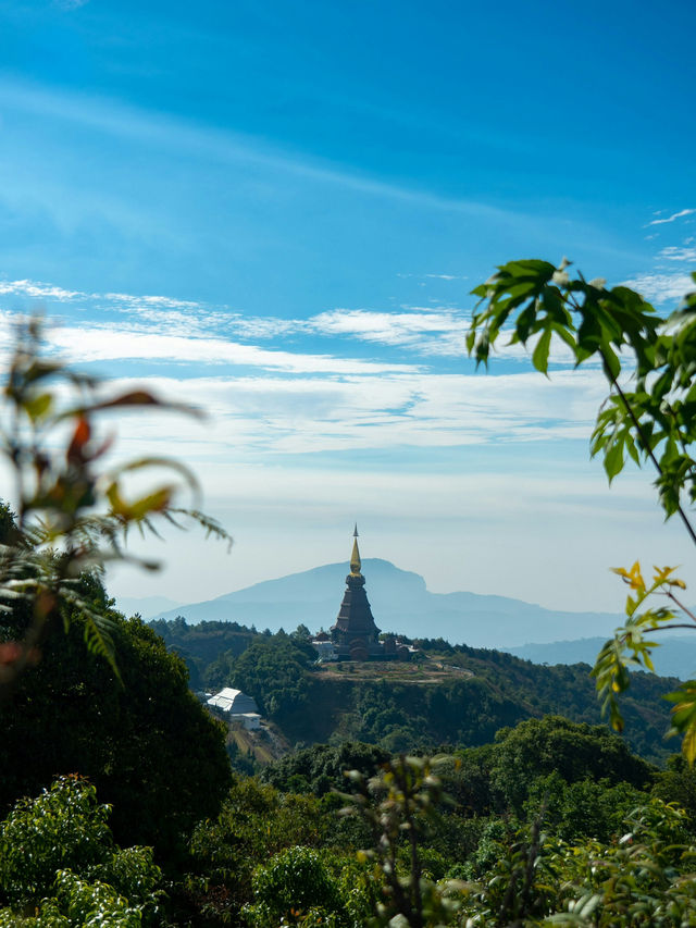 🌴✨ Thailand Adventures: Temples, Beaches & Flavors You’ll Love! 🇹🇭