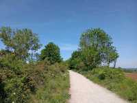 Wye Valley Greenway