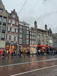 Best view of Amsterdam, city tour