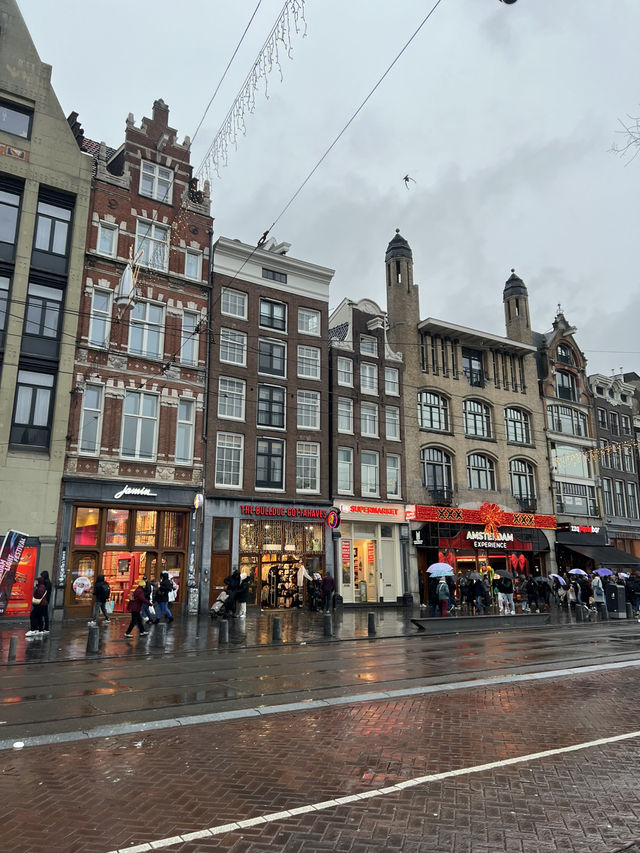 Best view of Amsterdam, city tour Best view of Amsterdam, city tour