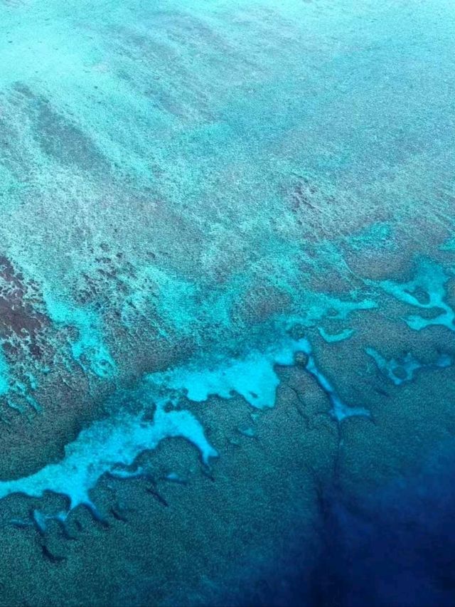 🌊 Xisha’s Hidden Paradise: Sandbanks, Reefs & Endless Blue 💎✨