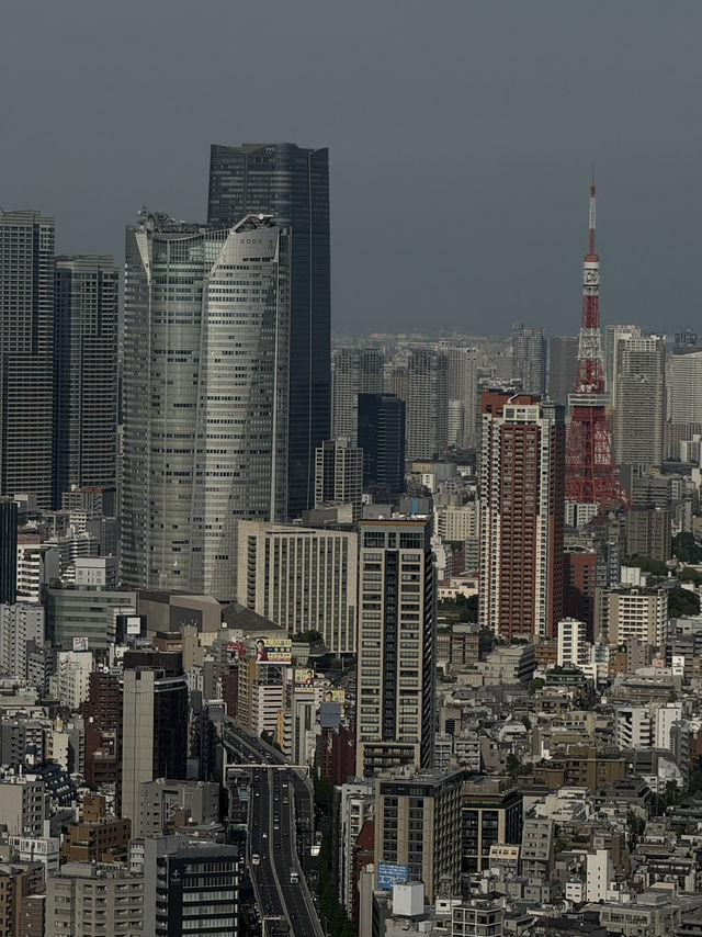 Urban Views in Tokyo🏙️