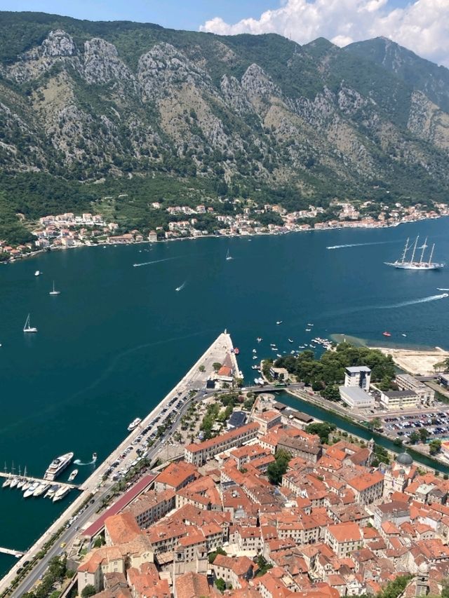 Cruise the Bay of Kotor ⛵