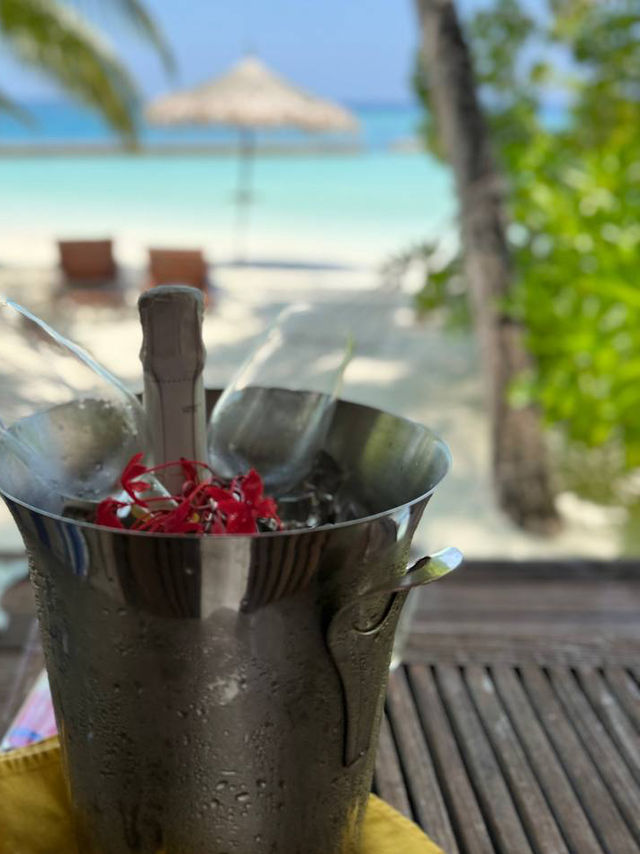 Gangehi Island Resort — Where Paradise Whispers, Not Shouts Gangehi Island Resort — Where Paradise Whispers, Not Shouts