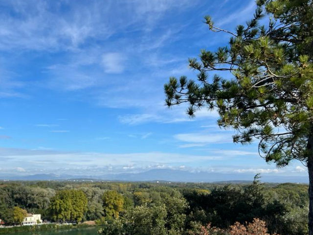 🇫🇷 View Over Avignon