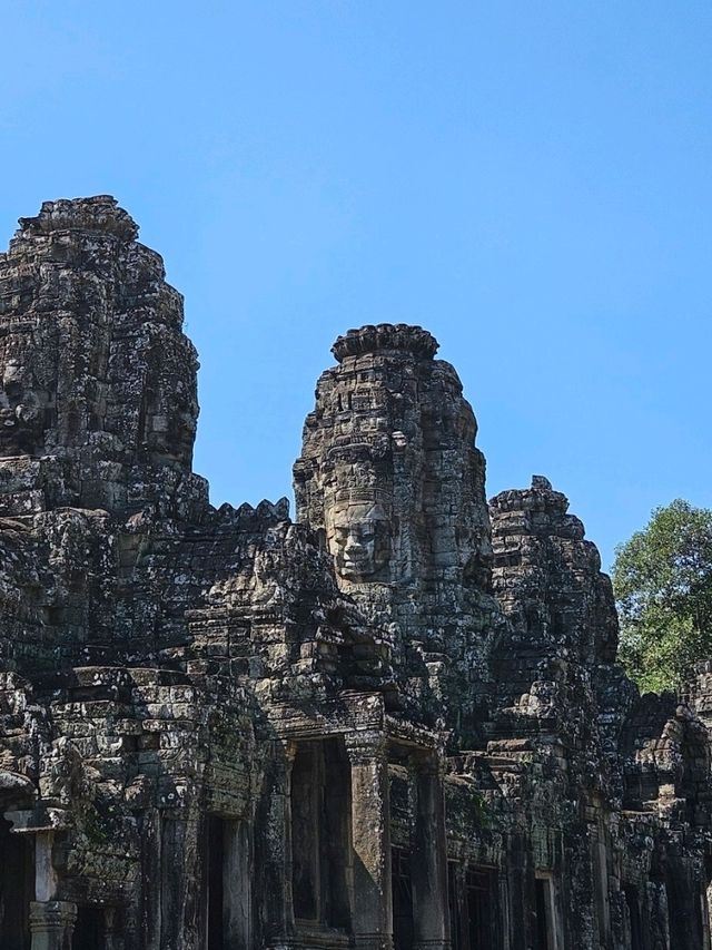 🎬 Explore the Iconic Tomb Raider Filming Site in Cambodia 🌿 🎬 Explore the Iconic Tomb Raider Filming Site in Cambodia 🌿