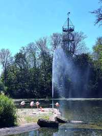 Nature Walk Charm🍃