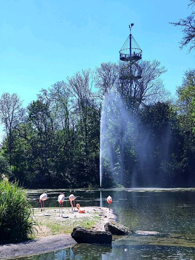 Nature Walk Charm🍃 Nature Walk Charm🍃
