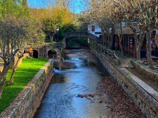 ก้าวแห่งความสงบสุขย้อนเวลากลับไป – อัลเต้ คือแอลการ์ฟที่แท้จริง! 🌿