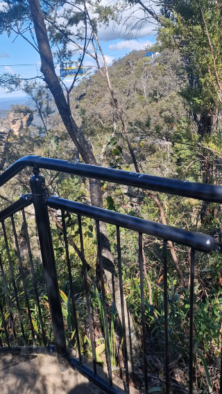 Blue Mountain Hike Experience