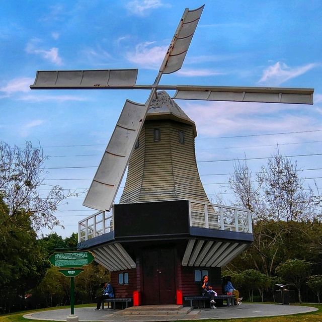 Dutch vibes in the park! 🇳🇱