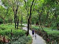 Hilltop Haven in Bao'an 🌳🌸🏞️