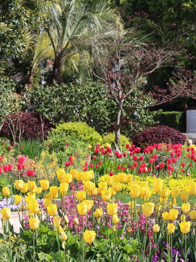 Springtime Nature in Shanghai🇨🇳♥️