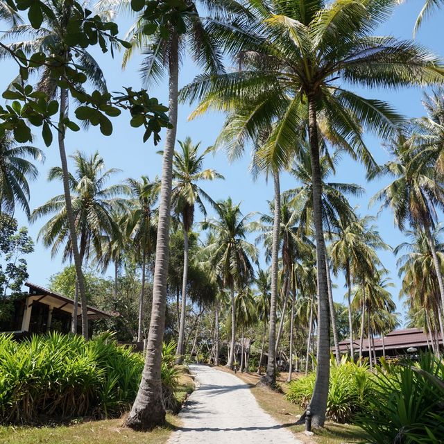 遊泰國🇹🇭布吉皇帝島