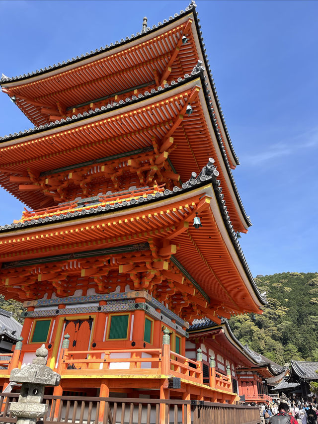 Japan 🇯🇵 Kyoto Kiyomizu-dera Temple Check-in Guide ⛩️