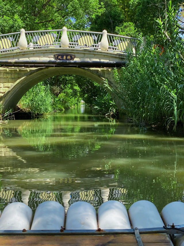 Travel from Shanghai to southern Jiangnan 🍃 and drift into the greenery of spring on a bamboo raft.