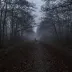 _Lia 3323