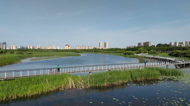 哈爾濱文化中心濕地公園