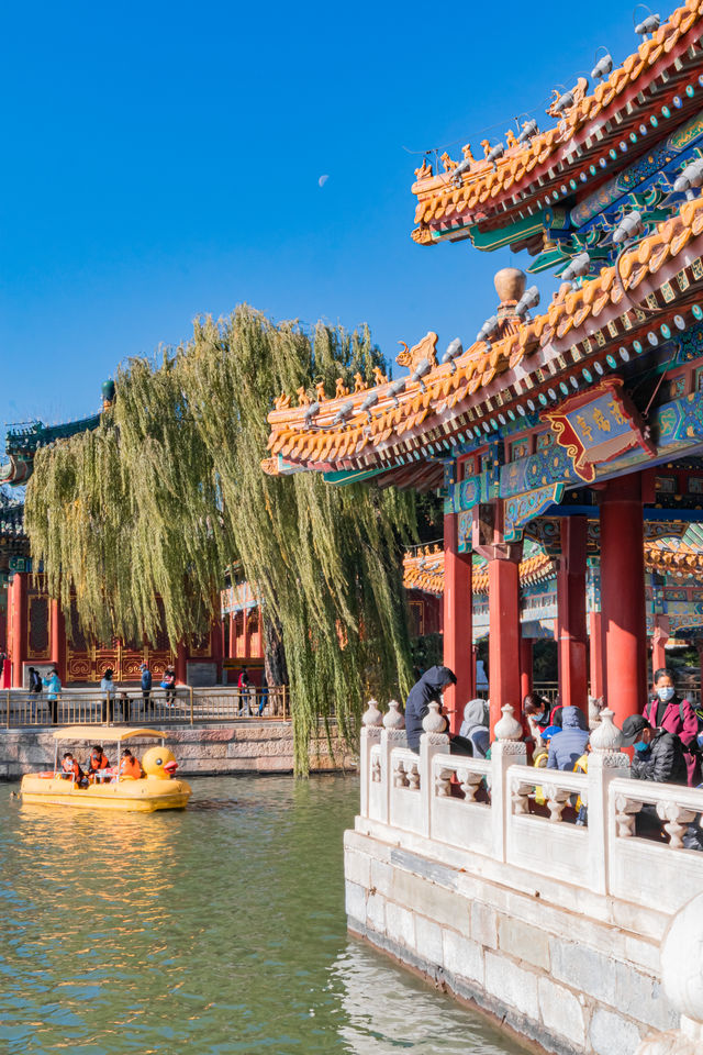 北京｜十一月，宜至北海公園看湖光秋色