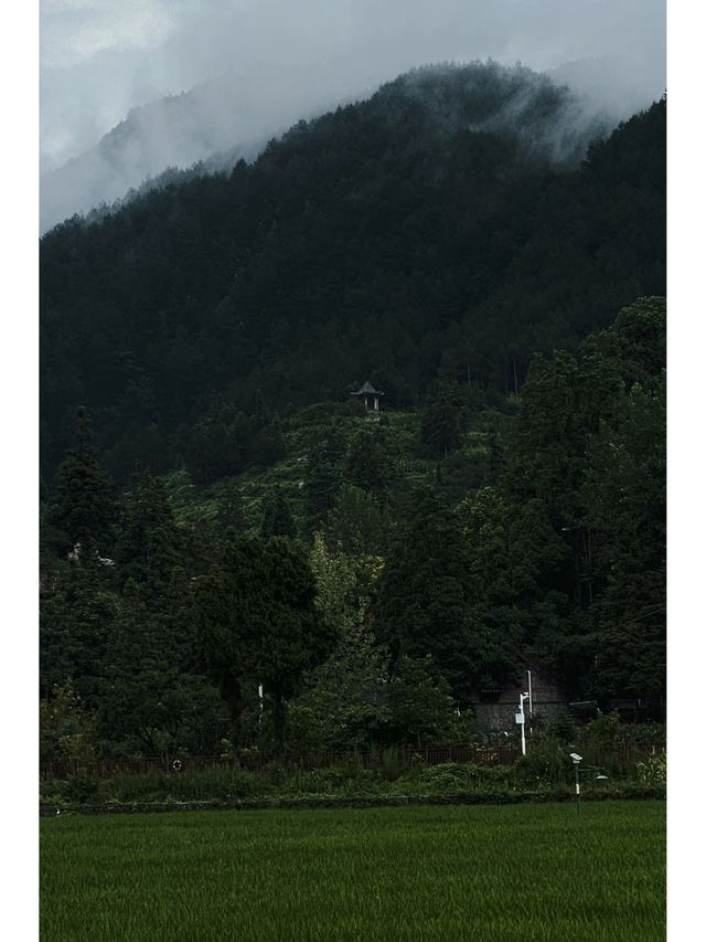 來感受一下貴定音寨的寧靜