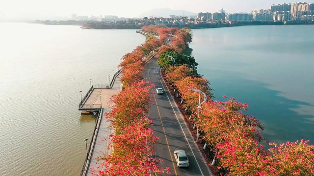 在花海綠道間漫遊，尋覓心中的詩和遠方