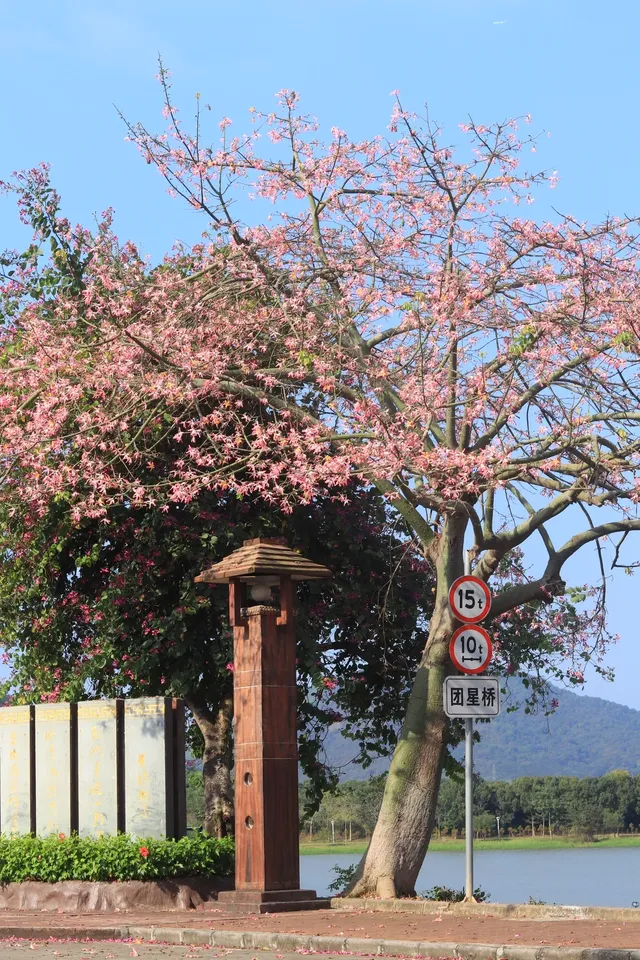 你不知道？這是廣州最浪漫的免費露營地