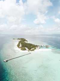 Maldives: A dream escape under the blue sea and sky! 🏝️✨🌊