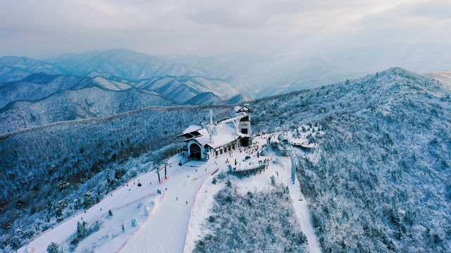 韓國江原道冬季雪景風光太震撼了，為你呈現獨屬於冬天的浪漫