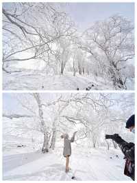 有遺憾也有驚喜，長白山西坡之旅，偶遇雪凇奇觀