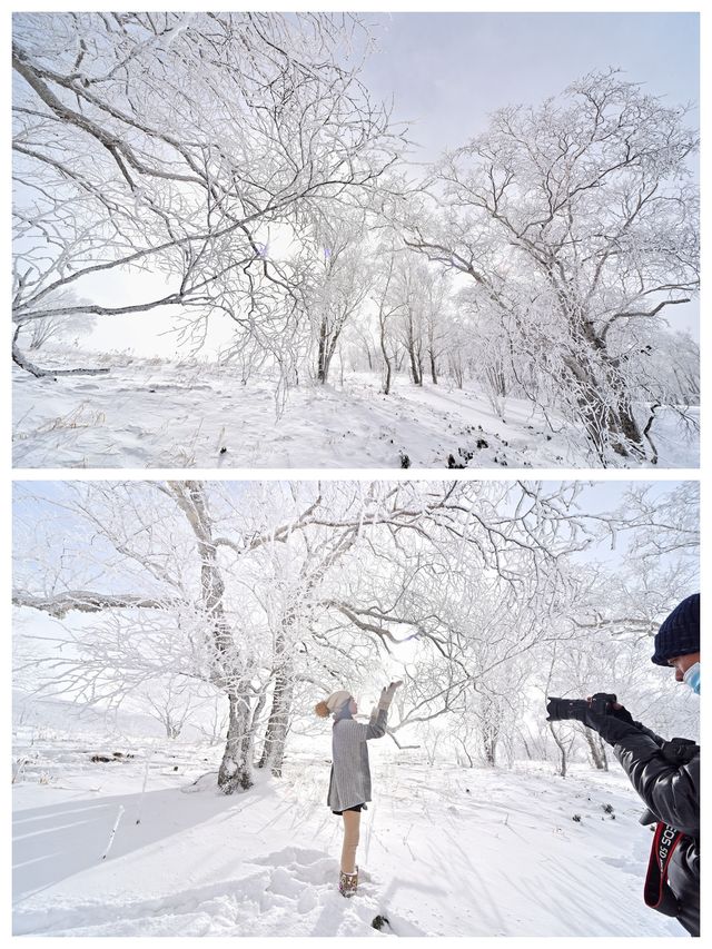 有遺憾也有驚喜，長白山西坡之旅，偶遇雪凇奇觀
