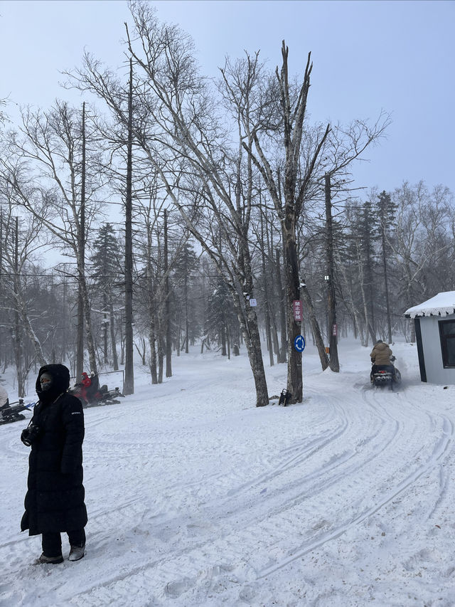 哈爾濱雪鄉一日遊 沒去的朋友們一定要看哦！分享真實感受