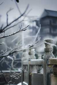 武漢的雪，落在了木蘭山之上