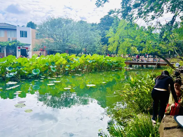 The free place to walk children away from the crowd, "Suzhou Park"