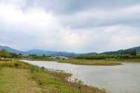 粉色深圳 | 7000m粉黛花海，浪漫秋日童話