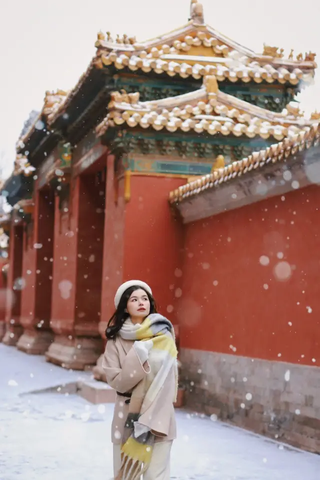 Beijing's first snow! Don't squeeze into the Forbidden City! Less people, beautiful scenery, snow shooting