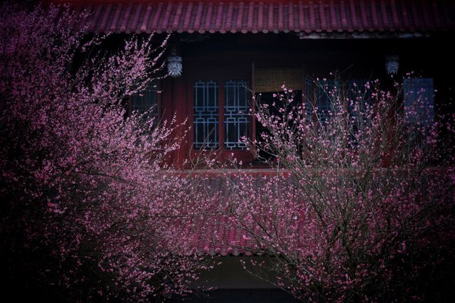 福州—林陽禪寺