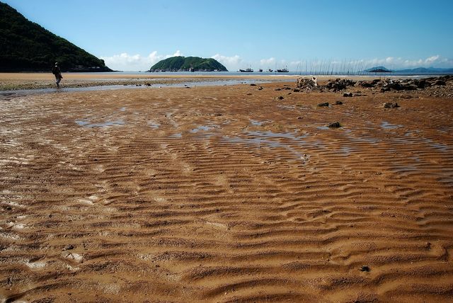 霞浦北歧灘涂